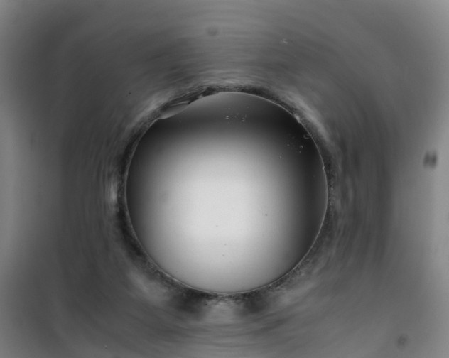 X0000101170115200807111101
