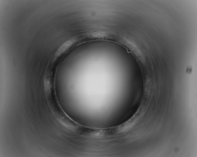 X0000101170116200807111101