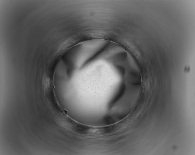X0000101170117200807111101