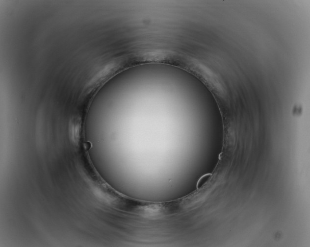 X0000101170118200807111101