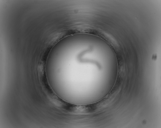 X0000101170121200807111101