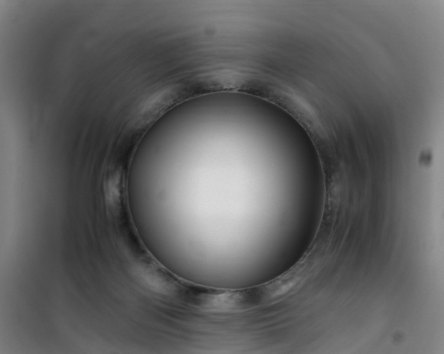 X0000101170122200807111101