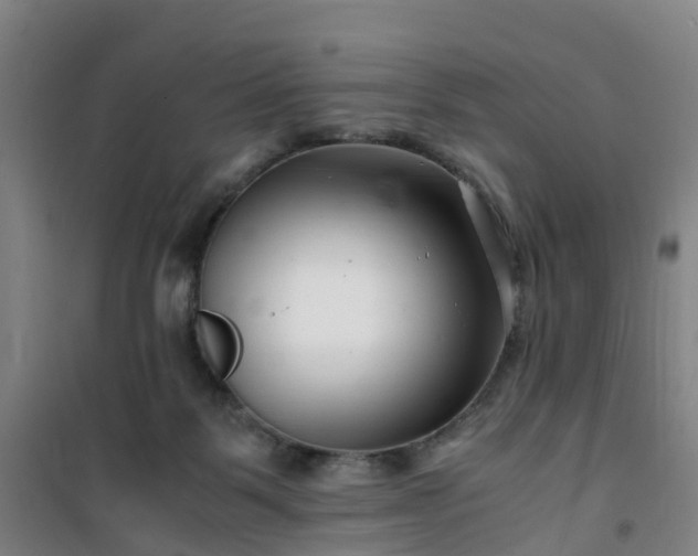 X0000101170123200807111101