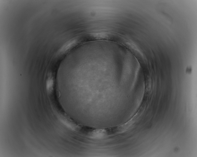 X0000101170124200807111101