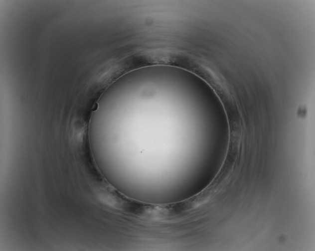 X0000101170125200807111101