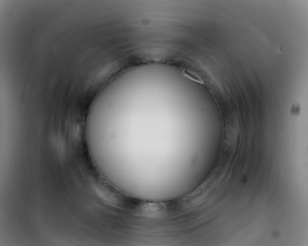 X0000101170126200807111101