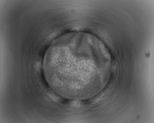 X0000101170127200807111101