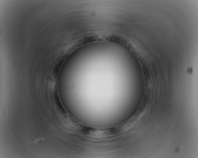 X0000101170129200807111101
