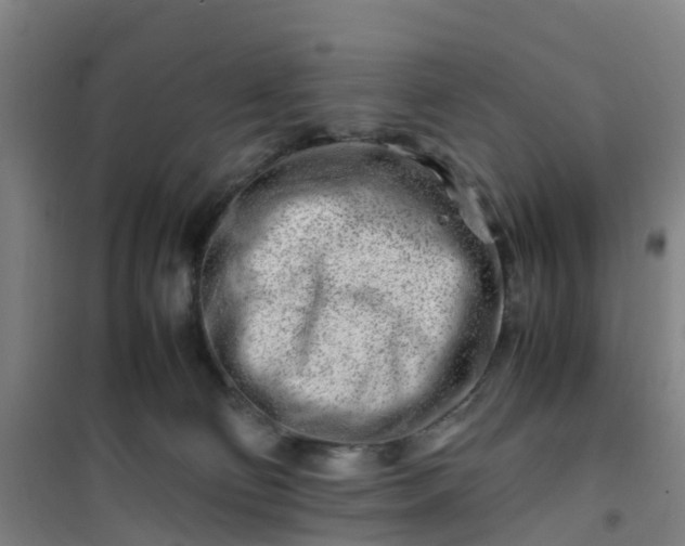 X0000101170130200807111101