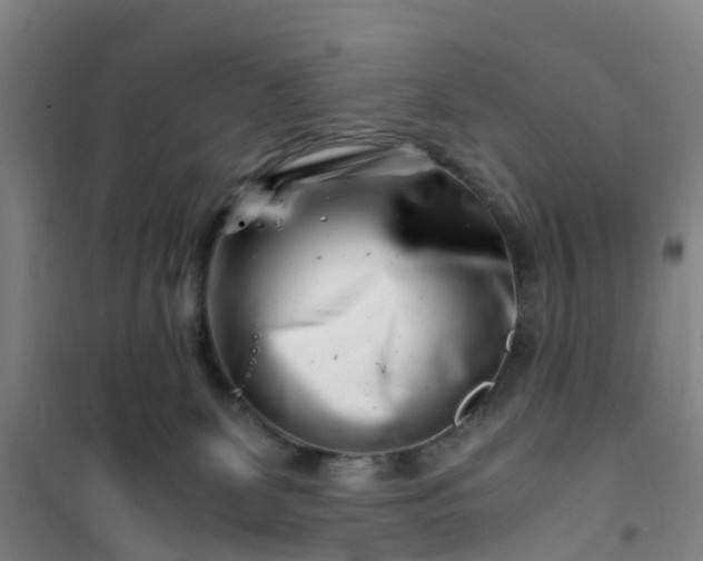 X0000101170131200807111101
