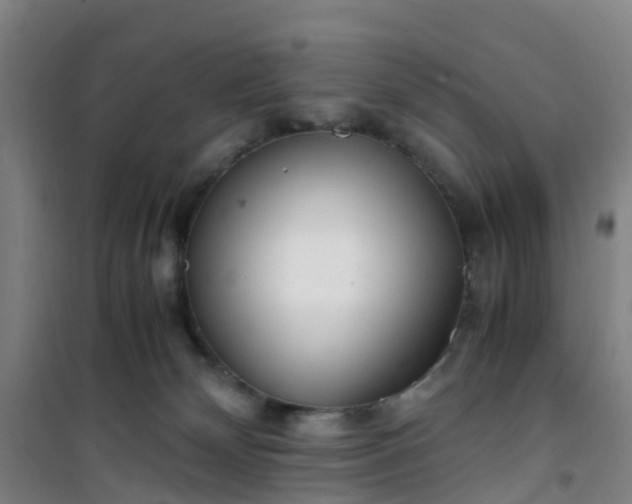 X0000101170132200807111101