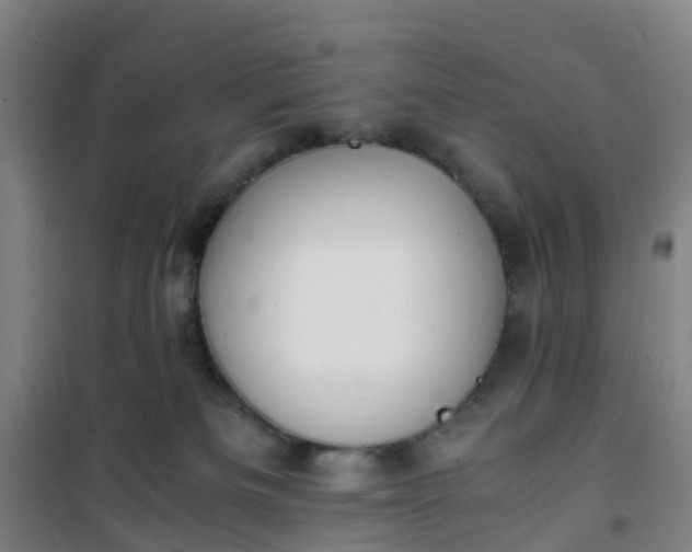 X0000101170133200807111101