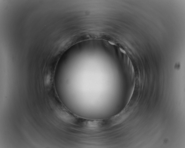 X0000101170134200807111101