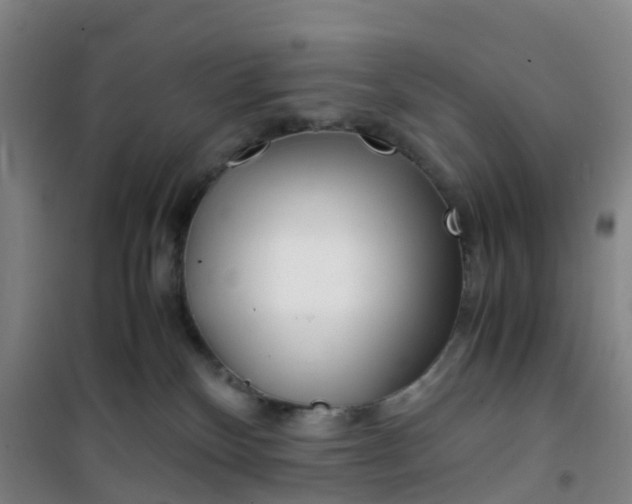 X0000101170136200807111101