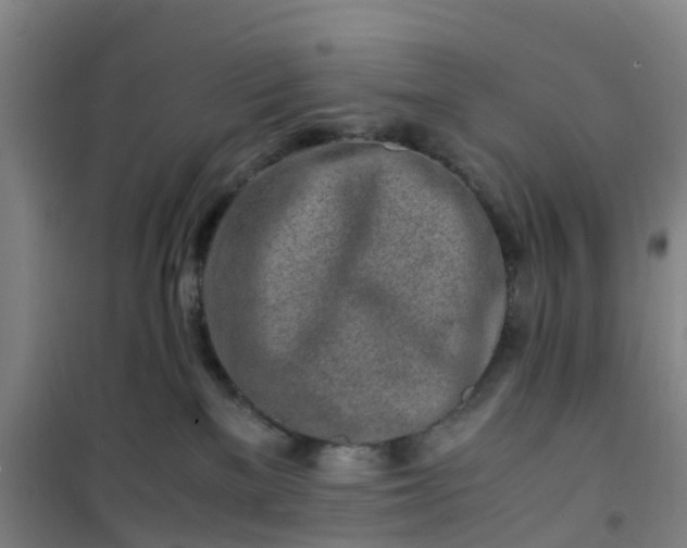 X0000101170137200807111101