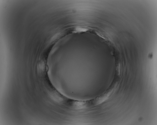 X0000101170139200807111101