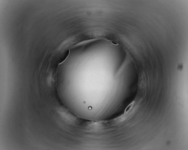 X0000101170140200807111101