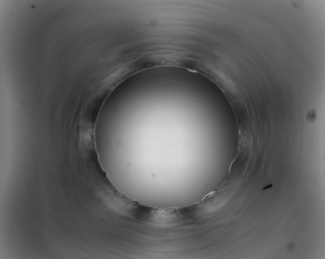 X0000101170141200807111101