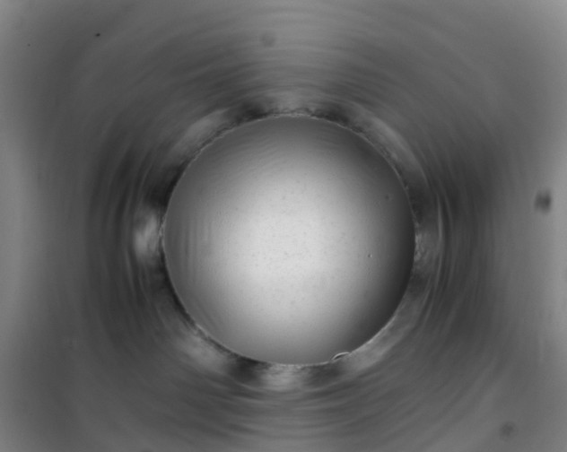 X0000101170142200807111101