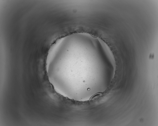 X0000101170144200807111101