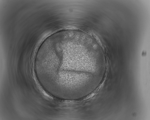 X0000101170145200807111100