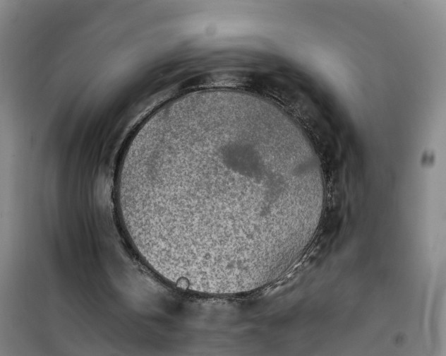 X0000101170146200807111100