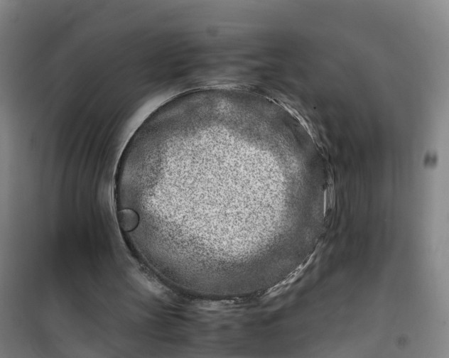 X0000101170147200807111100
