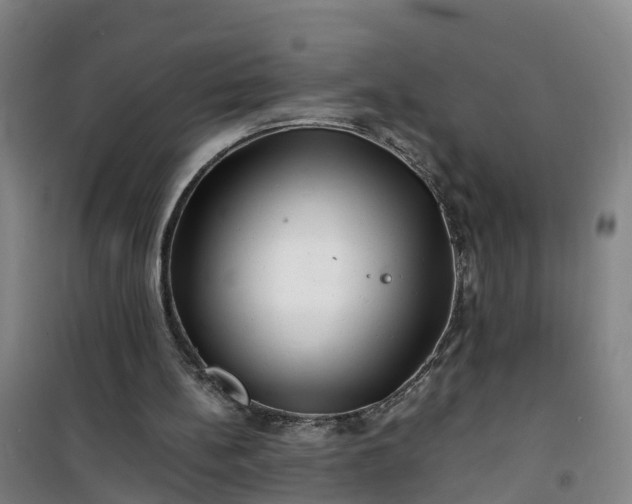 X0000101170148200807111100