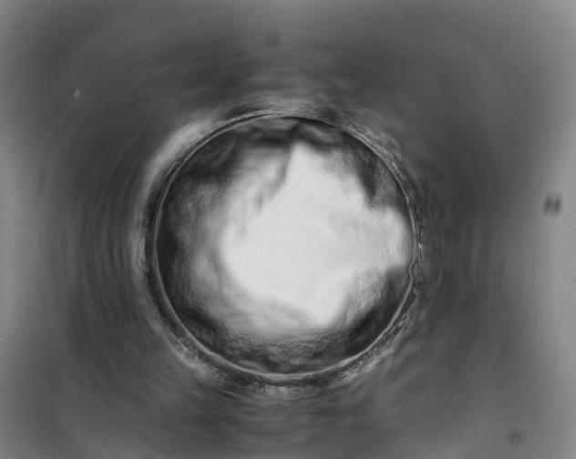 X0000101170149200807111100