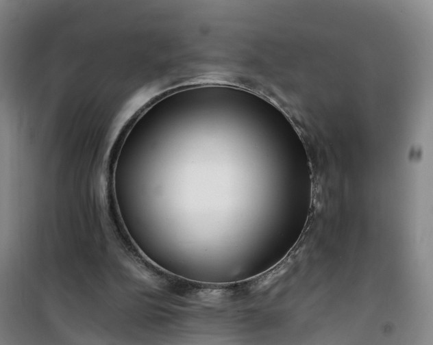X0000101170152200807111100