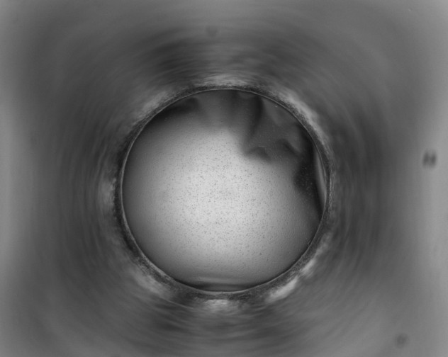 X0000101170153200807111100