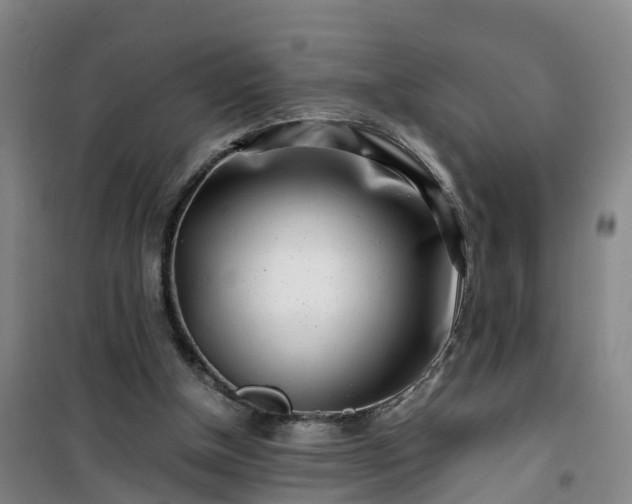 X0000101170154200807111100