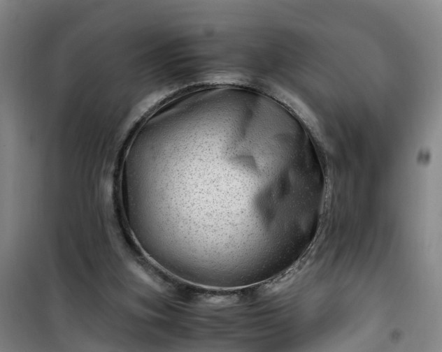 X0000101170155200807111100