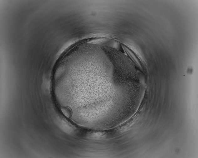 X0000101170156200807111100