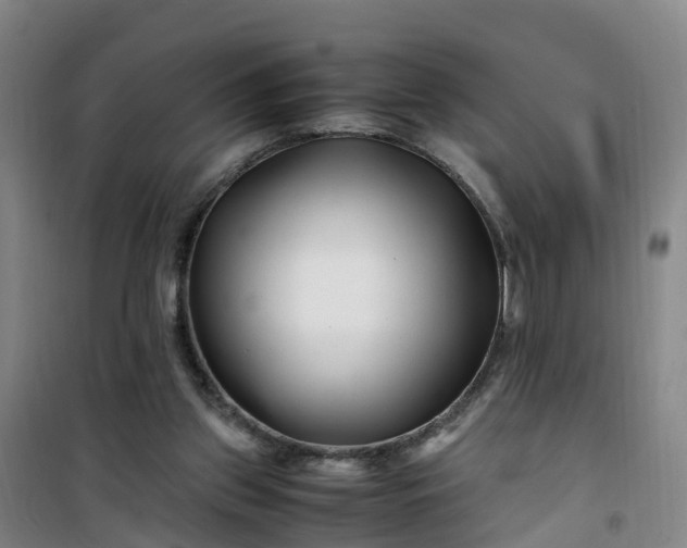 X0000101170157200807111100
