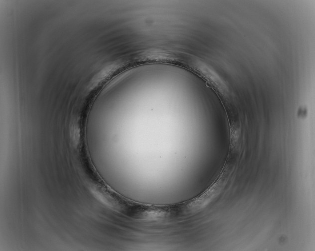 X0000101170158200807111100