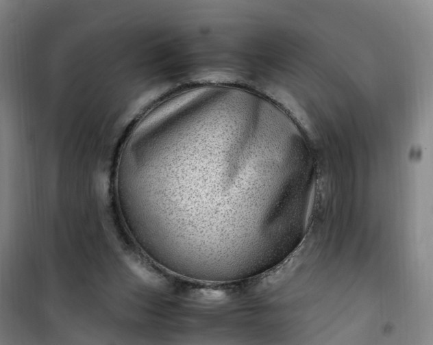 X0000101170159200807111100