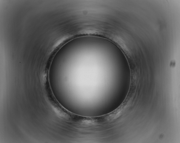 X0000101170160200807111100