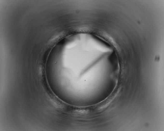 X0000101170161200807111100