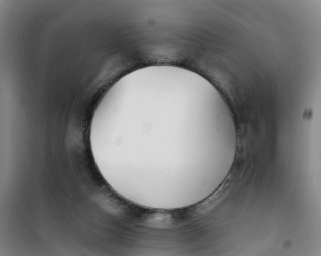 X0000101170162200807111100