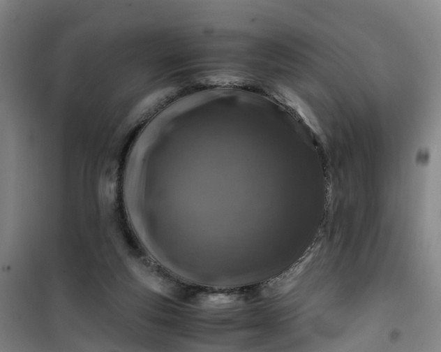 X0000101170163200807111100