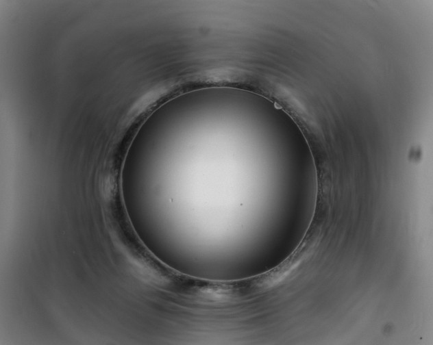 X0000101170164200807111100
