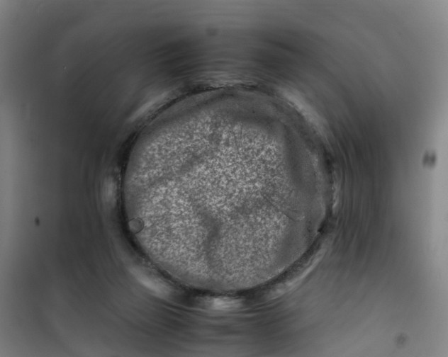 X0000101170165200807111100