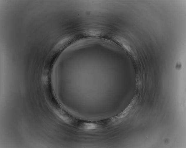X0000101170167200807111100