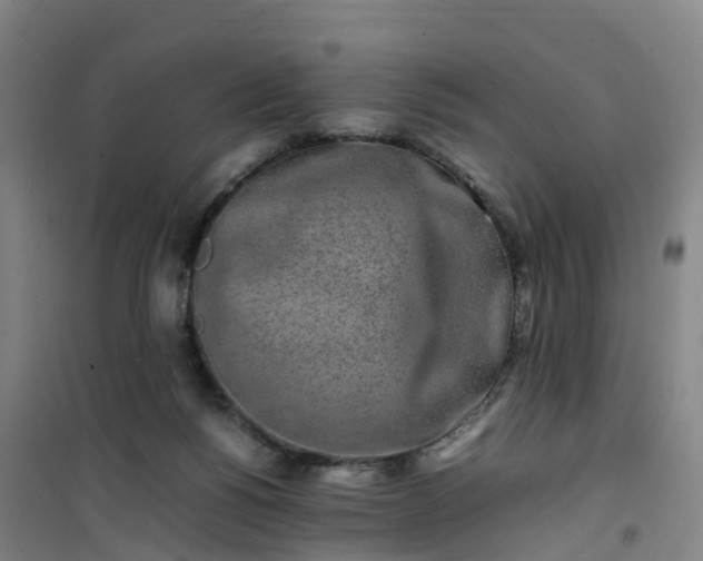 X0000101170168200807111100