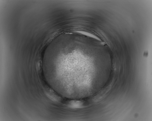 X0000101170169200807111100