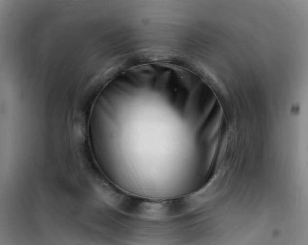 X0000101170170200807111100