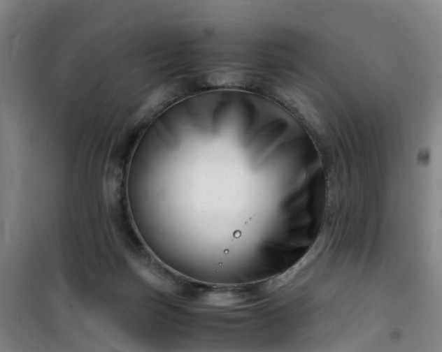 X0000101170171200807111100