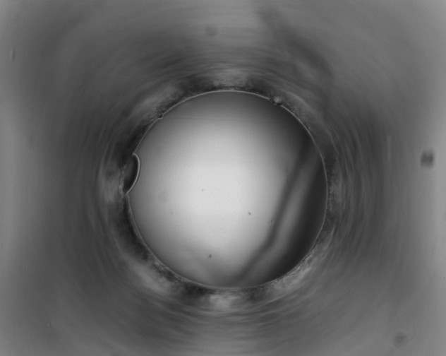X0000101170172200807111100
