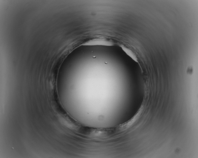 X0000101170174200807111100
